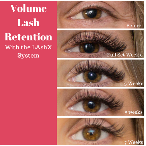 Volume lashes cheap