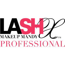 Private Classic Pro Training - lashx.pro Healthier Professional lash extension products 